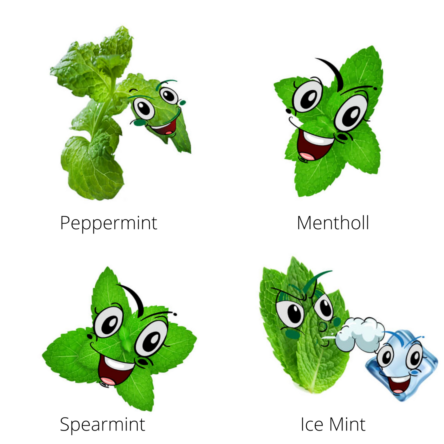 10ml Highly Concentrated Food Flavouring Oil Natural Liquid Essence for Baking, Cooking - Lip Gloss Flavouring Oil for Lip Balm, Cosmetics, Drink, Soap Making - Water & Oil Soluble( LIST 2 )